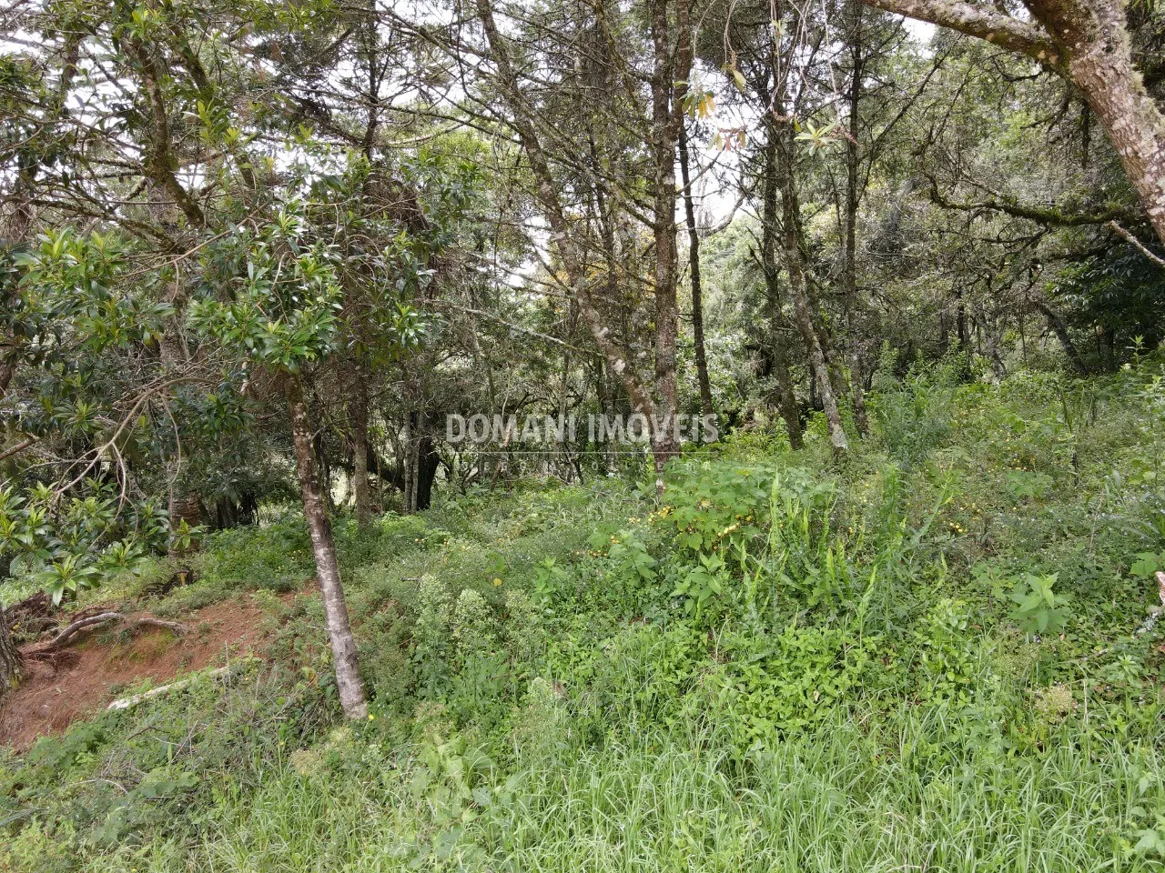 Plot for sale of 1,990 m² in Campos do Jordão, SP, Brazil