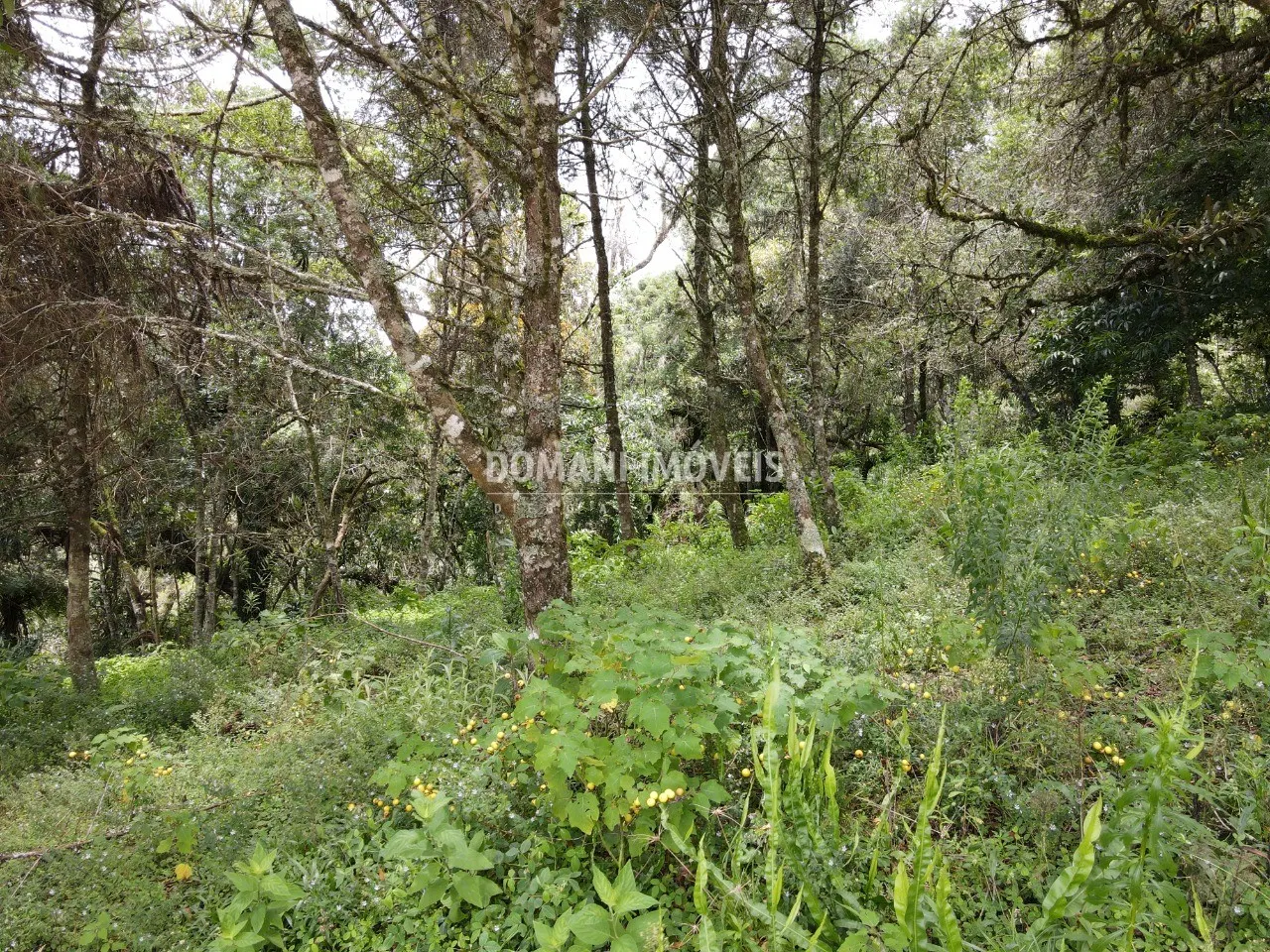 Plot for sale of 1,990 m² in Campos do Jordão, SP, Brazil