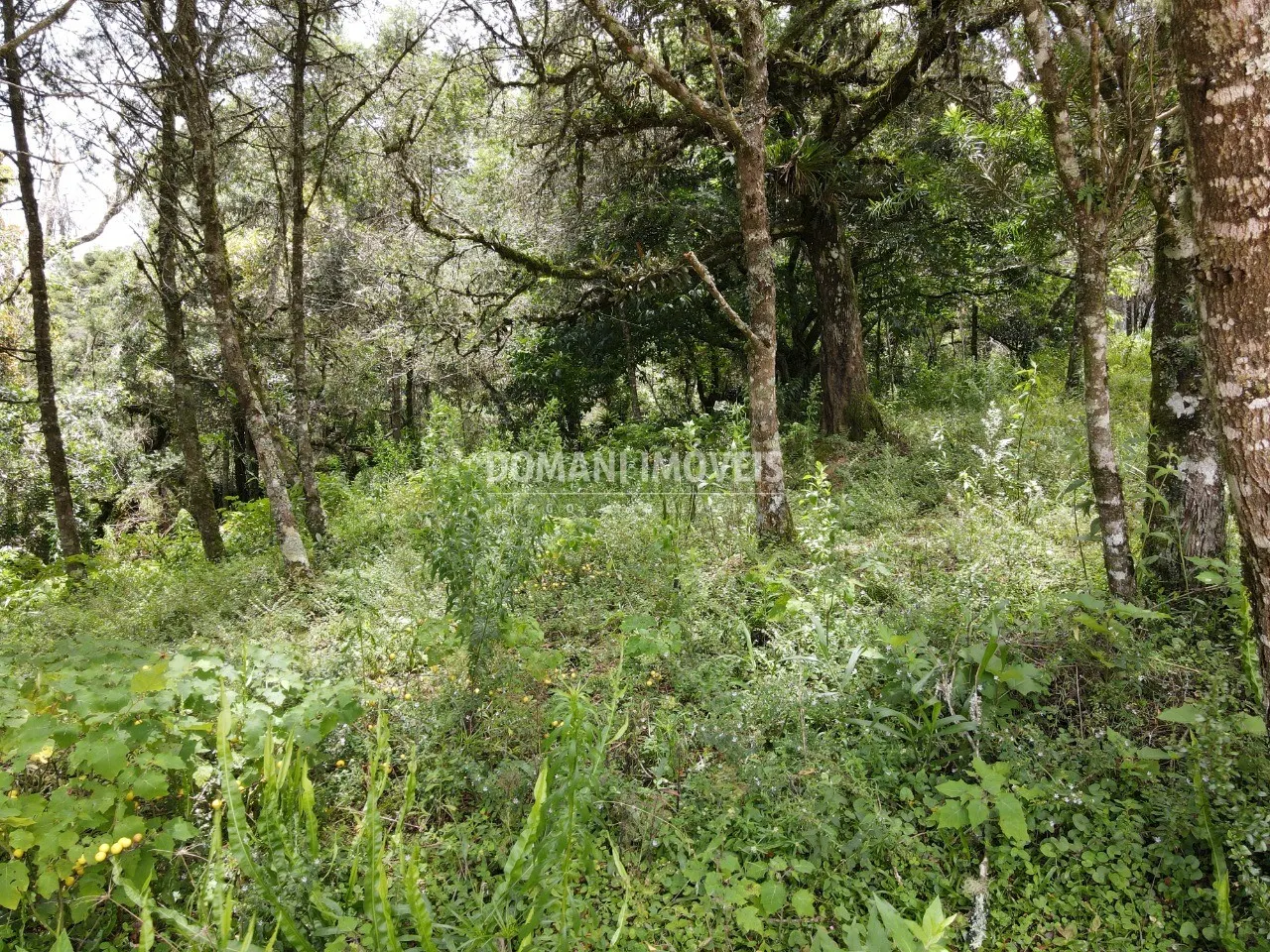 Plot for sale of 1,990 m² in Campos do Jordão, SP, Brazil