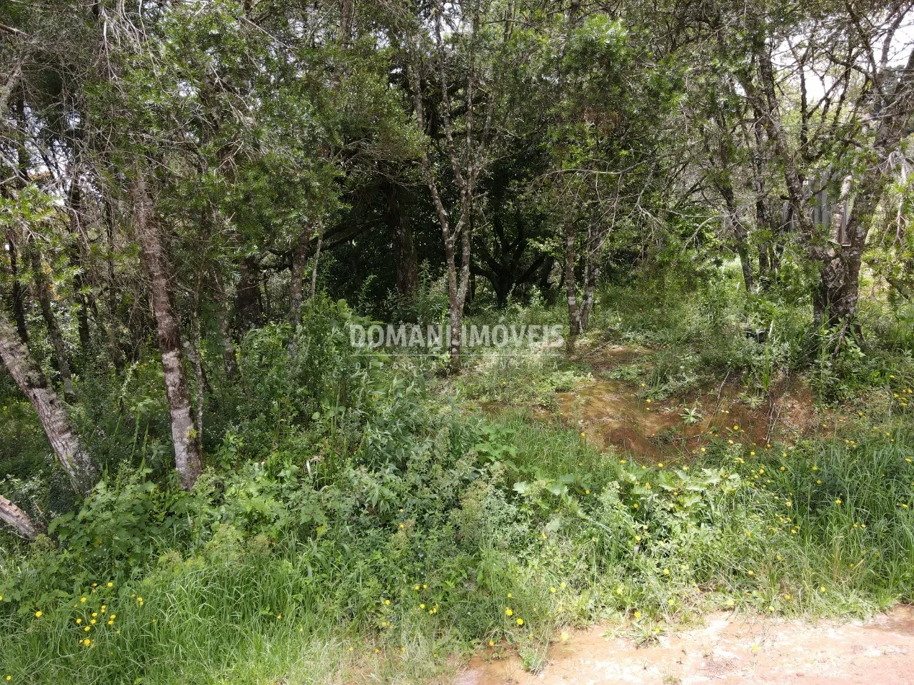 Plot for sale of 1,990 m² in Campos do Jordão, SP, Brazil
