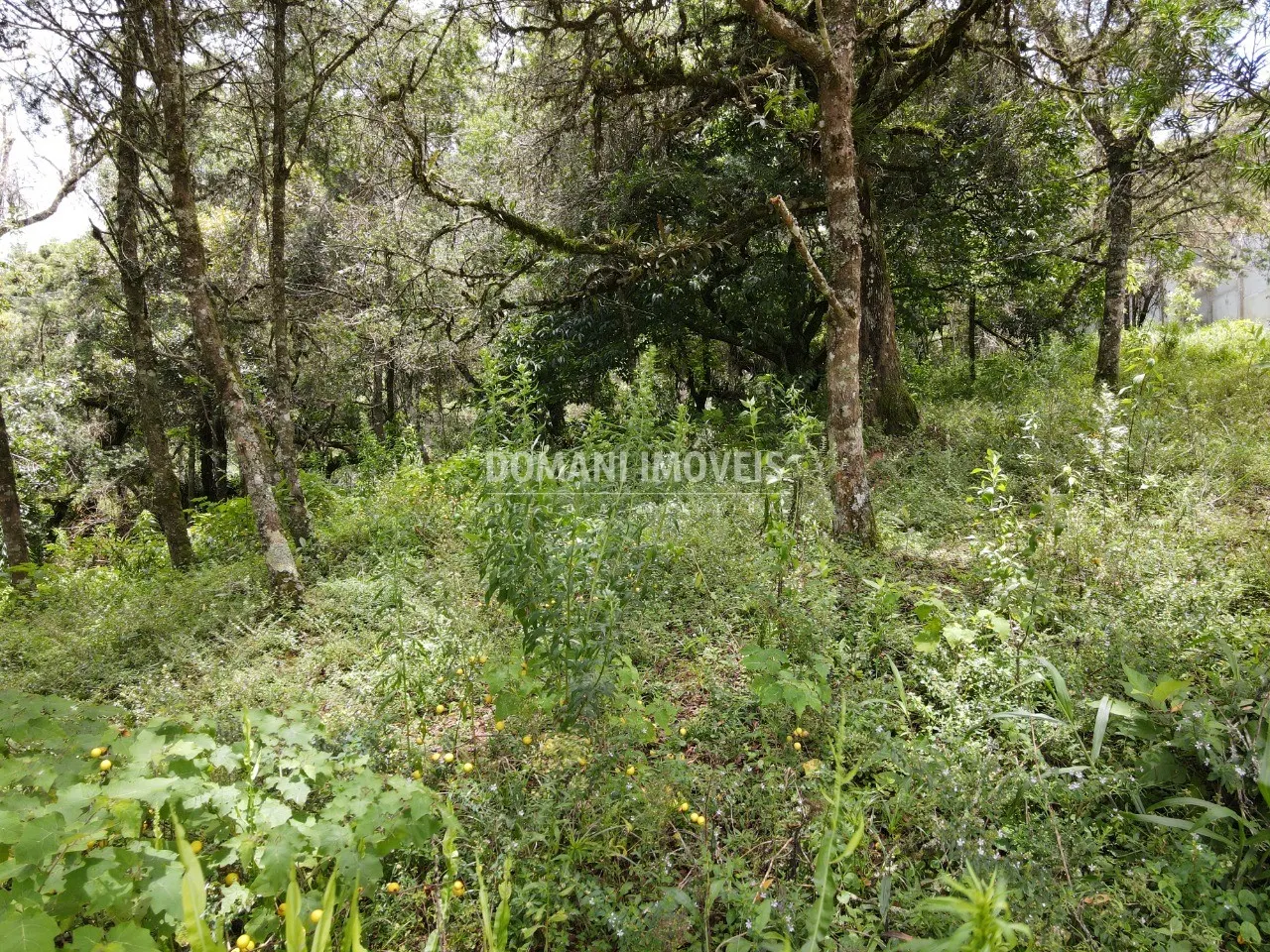 Plot for sale of 1,990 m² in Campos do Jordão, SP, Brazil