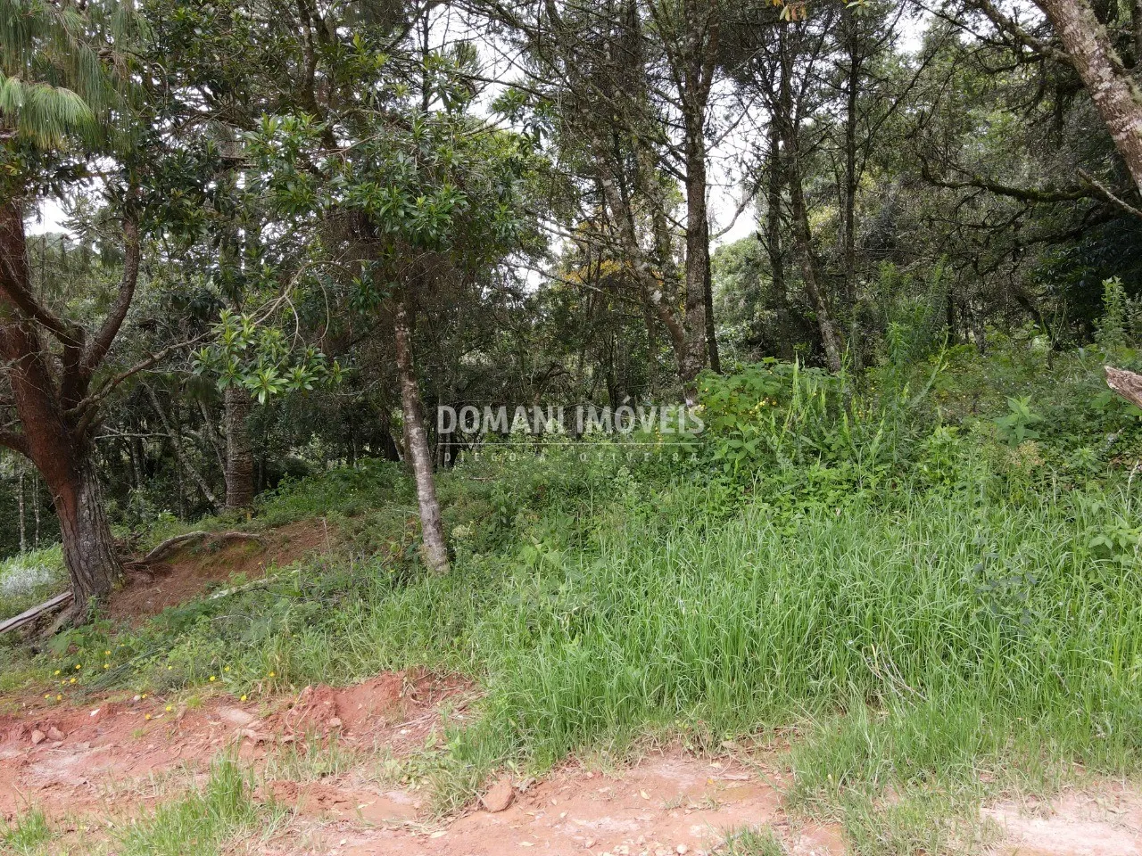 Plot for sale of 1,990 m² in Campos do Jordão, SP, Brazil