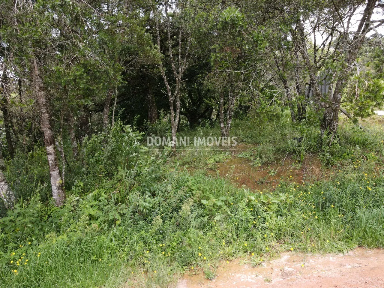 Plot for sale of 1,990 m² in Campos do Jordão, SP, Brazil