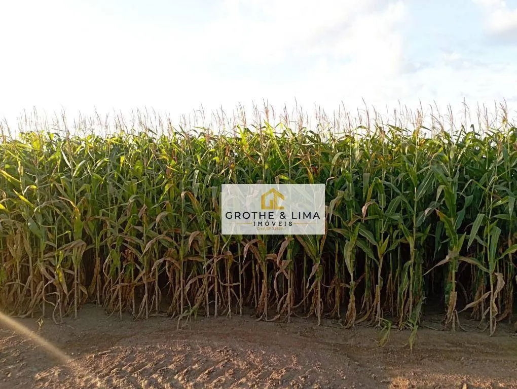 Fazenda à venda de 1.176 ha em Araguacema, TO, Brasil