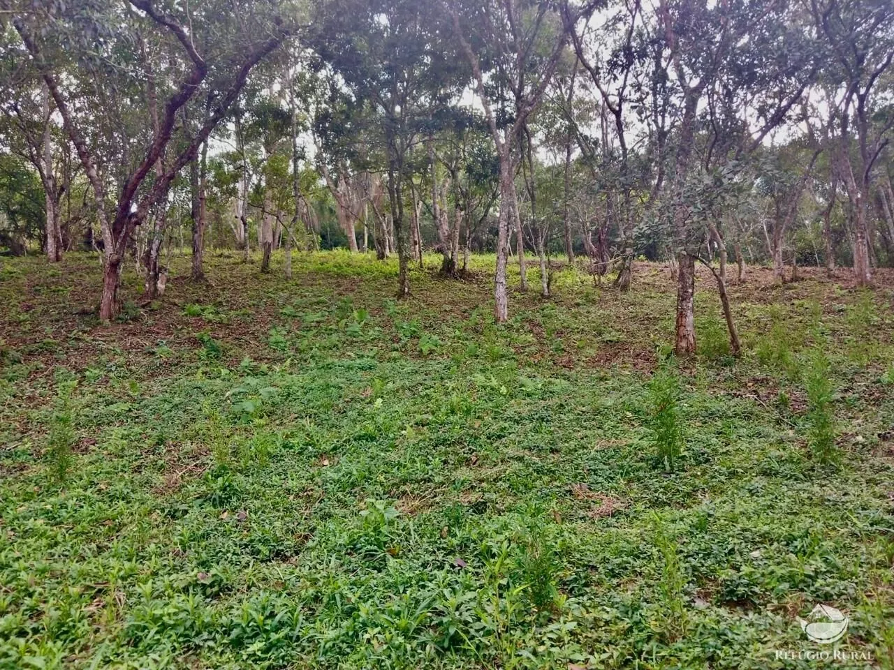 Chácara à venda de 6.700 m² em São José dos Campos, SP, Brasil