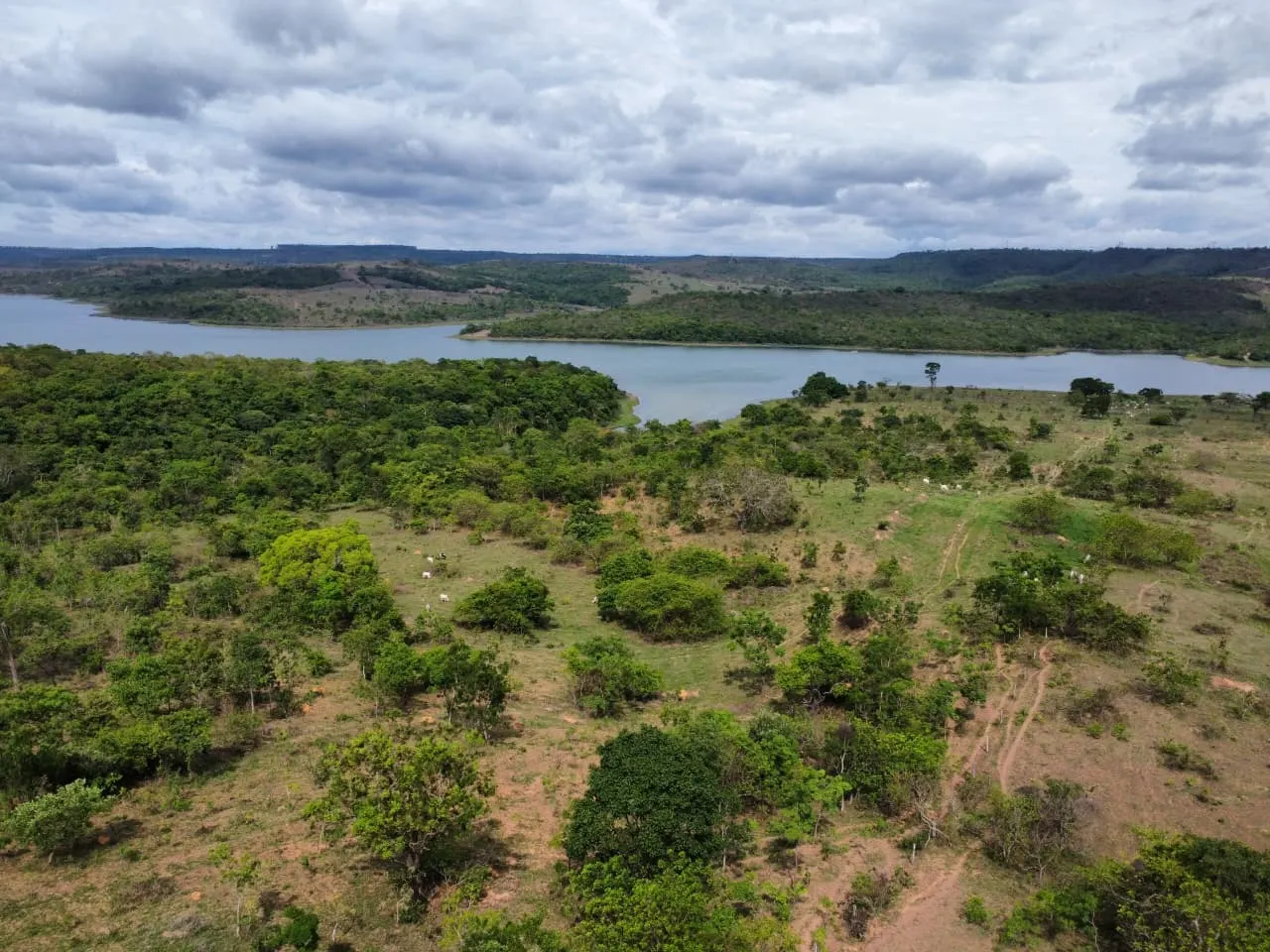 Fazenda à venda de 45 ha em Luziânia, GO, Brasil