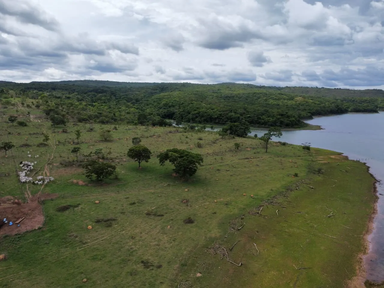 Fazenda à venda de 45 ha em Luziânia, GO, Brasil
