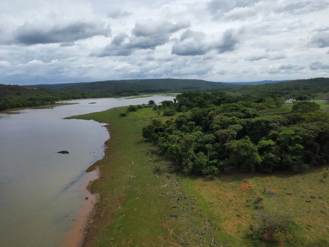 Fazenda à venda de 45 ha em Luziânia, GO, Brasil