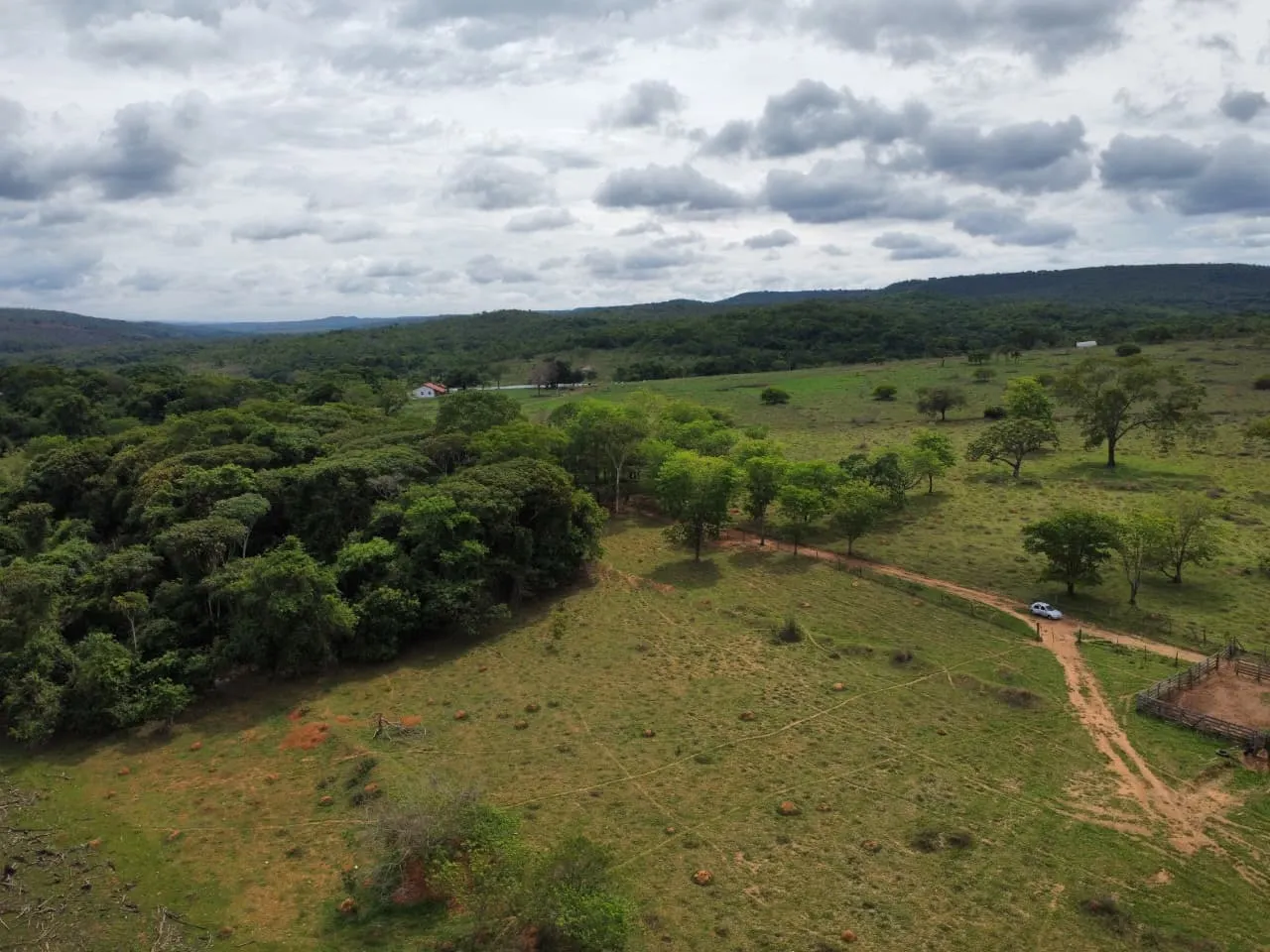 Fazenda à venda de 45 ha em Luziânia, GO, Brasil