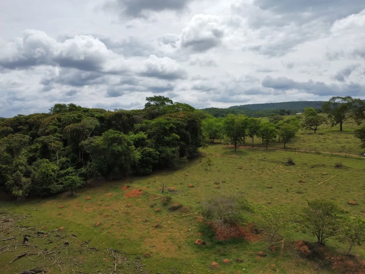 Fazenda à venda de 45 ha em Luziânia, GO, Brasil