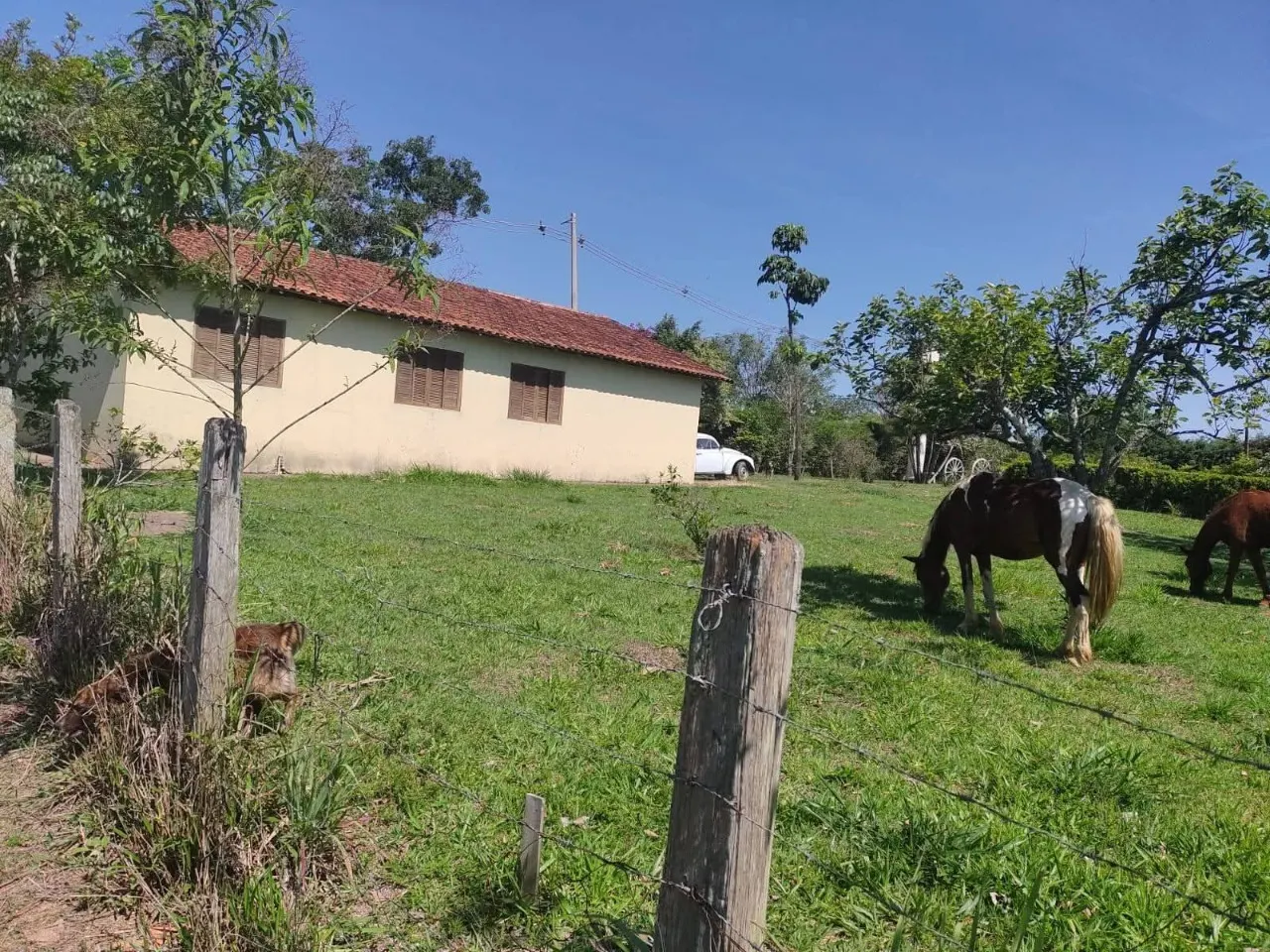 Fazenda à venda de 5 ha em Itapetininga, SP, Brasil
