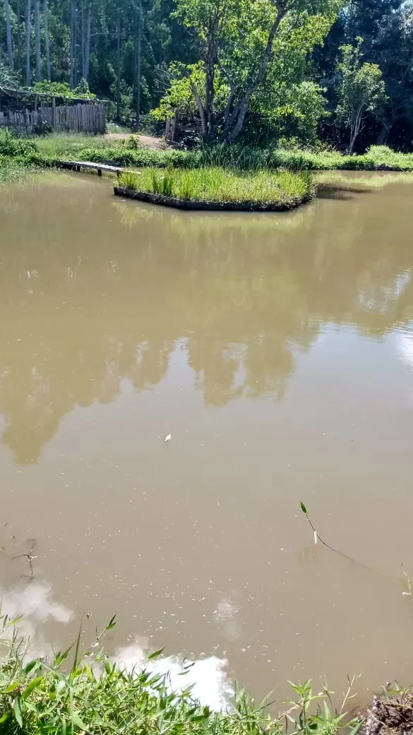 Sítio à venda de 3 ha em Ribeirão Grande, SP, Brasil