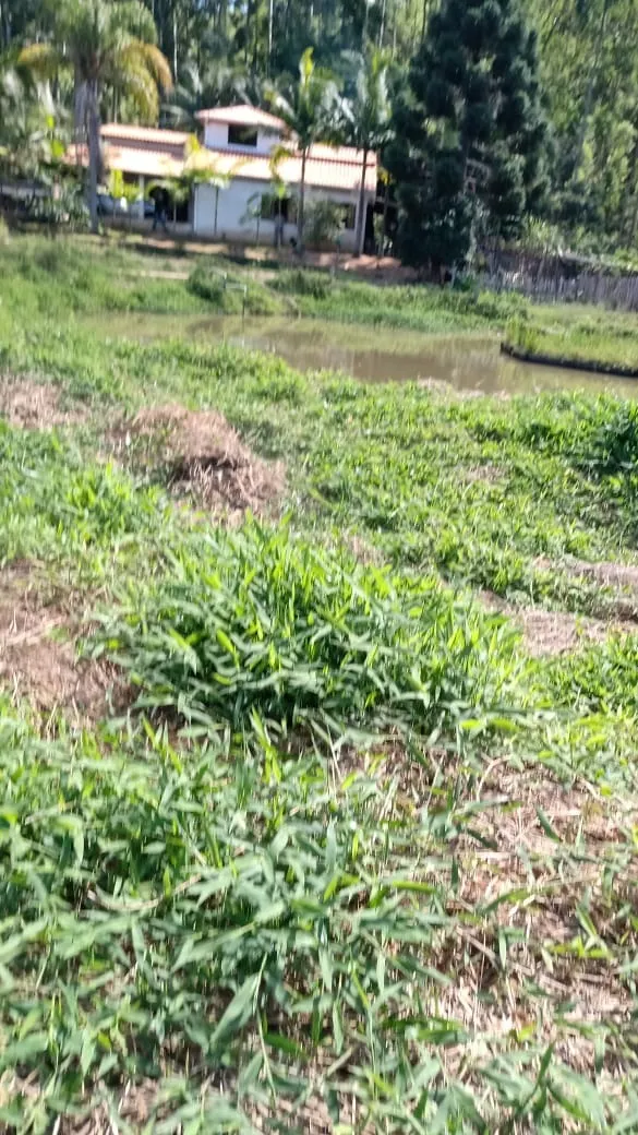 Sítio à venda de 3 ha em Ribeirão Grande, SP, Brasil