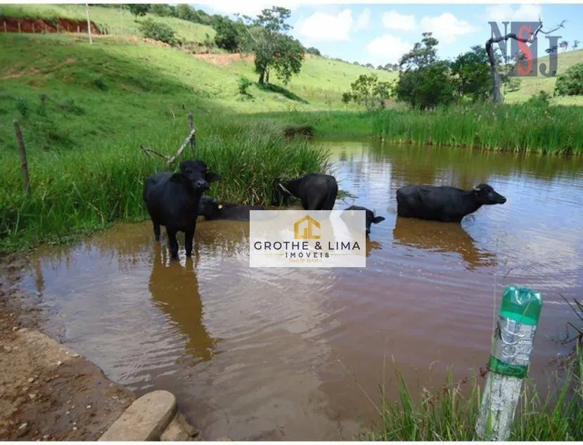 Farm for sale of 239 acres in Lagoinha, SP, Brazil