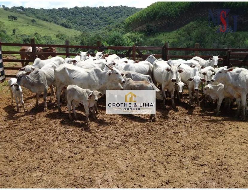 Farm for sale of 239 acres in Lagoinha, SP, Brazil