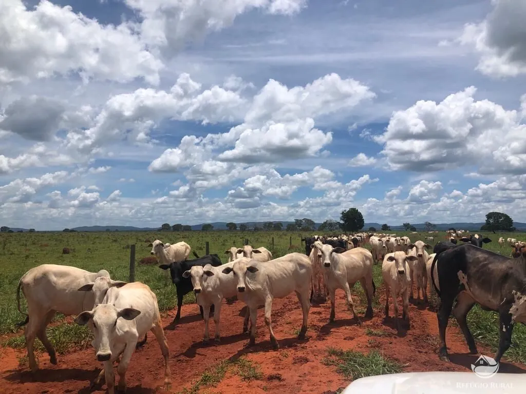 Fazenda à venda de 4.007 ha em Paracatu, MG, Brasil