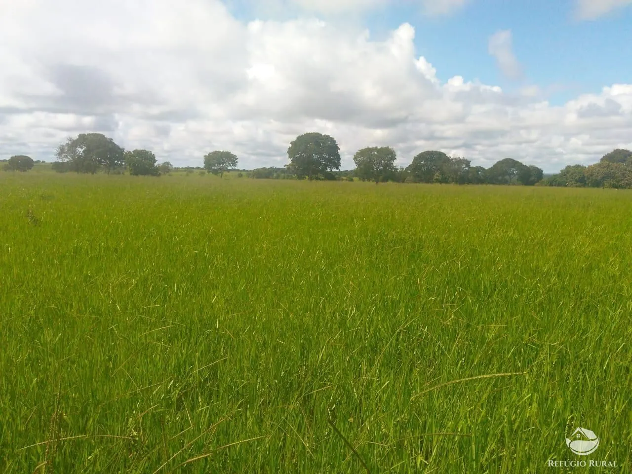 Fazenda à venda de 4.007 ha em Paracatu, MG, Brasil