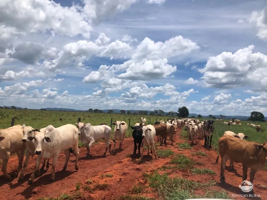 Fazenda à venda de 4.007 ha em Paracatu, MG, Brasil