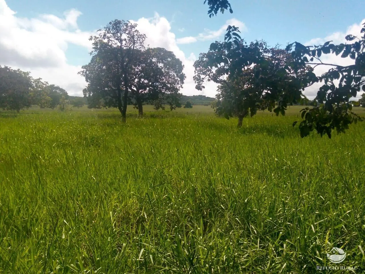 Fazenda à venda de 4.007 ha em Paracatu, MG, Brasil