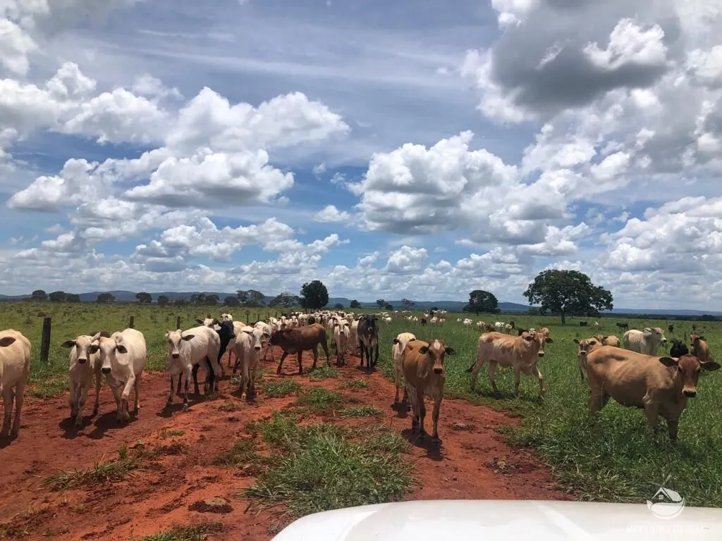 Fazenda à venda de 4.007 ha em Paracatu, MG, Brasil