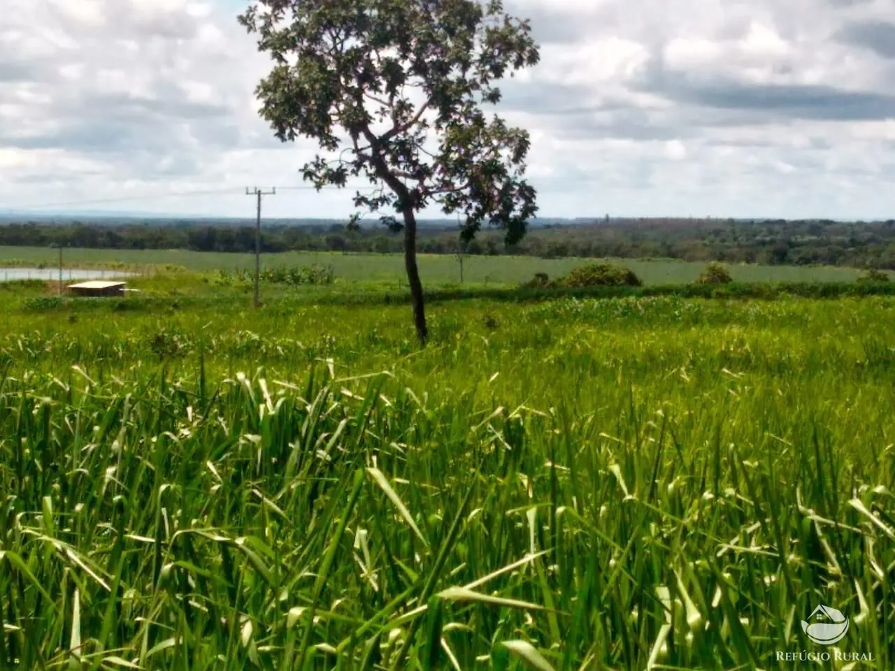 Fazenda à venda de 4.007 ha em Paracatu, MG, Brasil