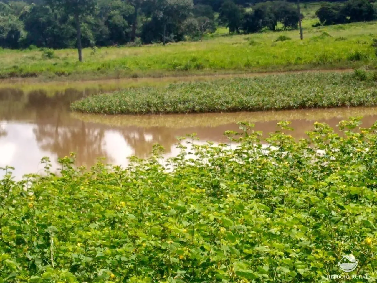 Fazenda à venda de 4.007 ha em Paracatu, MG, Brasil