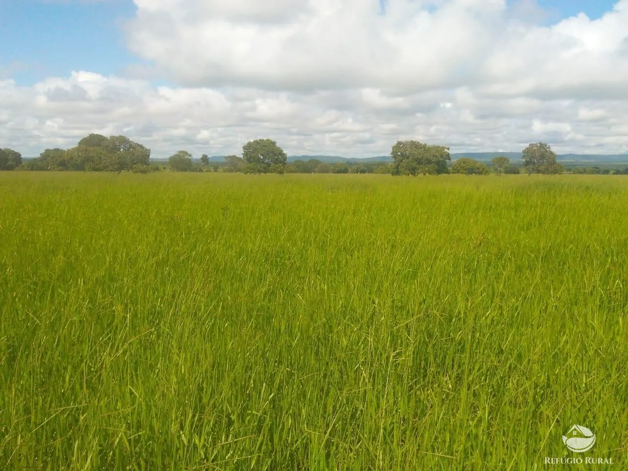 Fazenda à venda de 4.007 ha em Paracatu, MG, Brasil