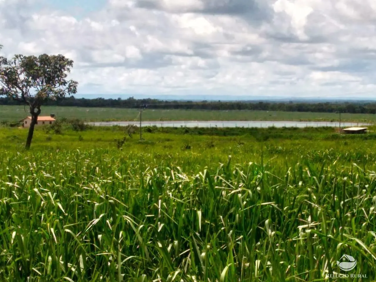 Fazenda à venda de 4.007 ha em Paracatu, MG, Brasil