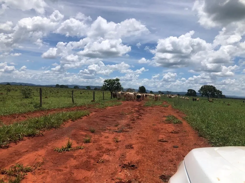 Fazenda à venda de 4.007 ha em Paracatu, MG, Brasil