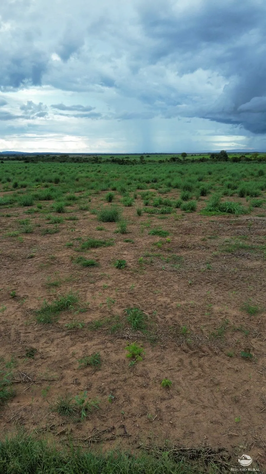 Farm for sale of 2,718 acres in Planalto da Serra, MT, Brazil