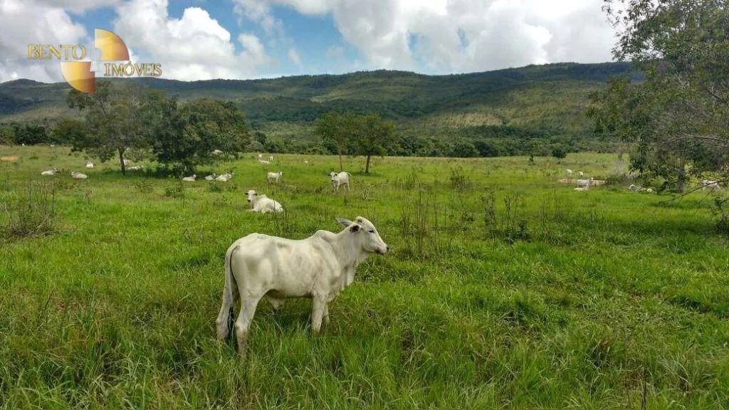 Farm for sale of 7,702 acres in Jangada, MT, Brazil
