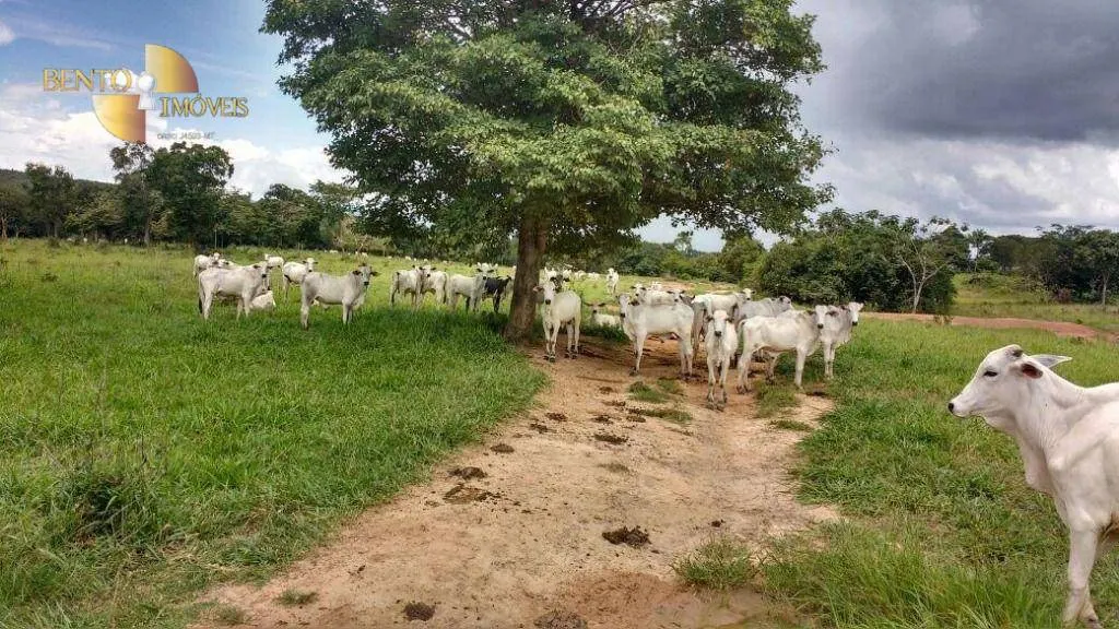 Farm for sale of 7,702 acres in Jangada, MT, Brazil