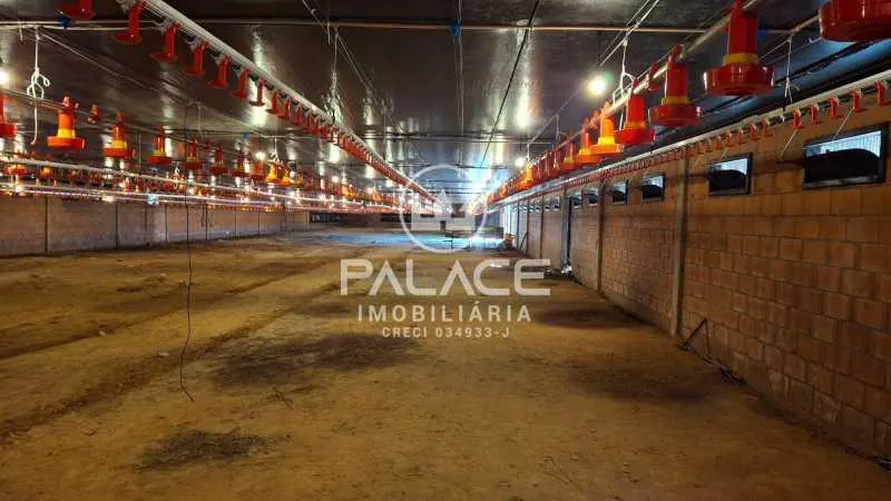 Sítio à venda de 5 ha em Tietê, SP, Brasil