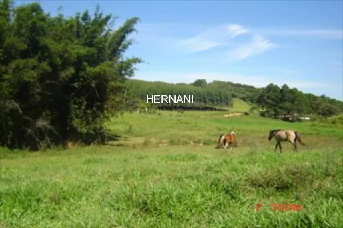 Sítio à venda de 12 ha em Itu, SP, Brasil