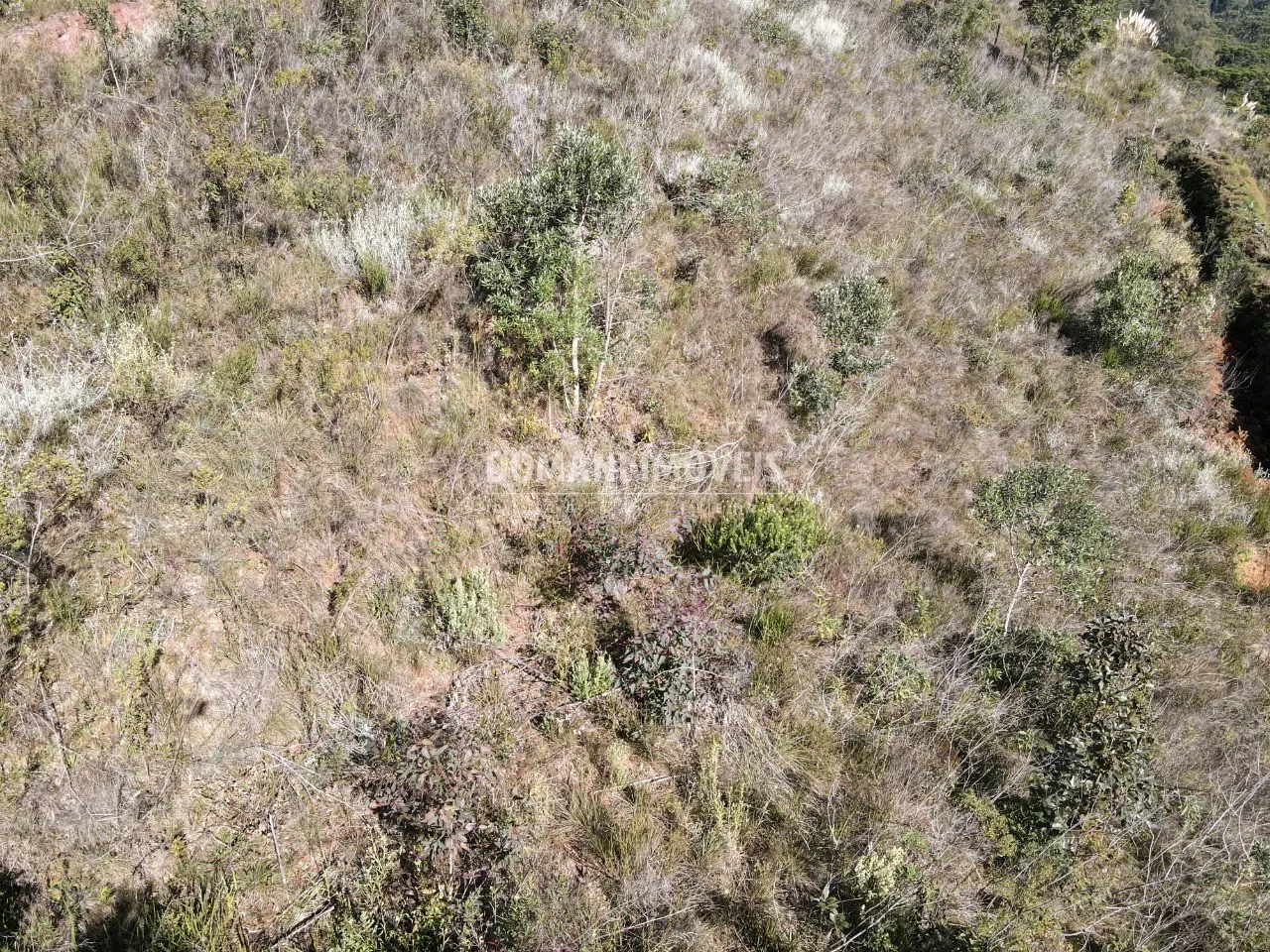 Terreno à venda de 1.300 m² em Campos do Jordão, SP, Brasil