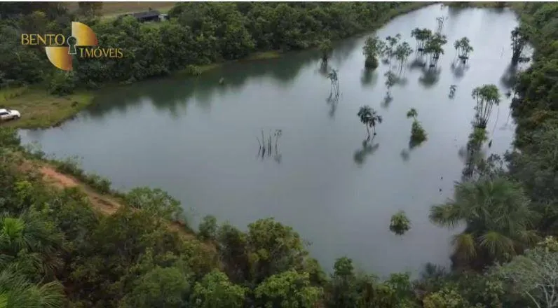 Fazenda à venda de 4.525 ha em Diamantino, MT, Brasil
