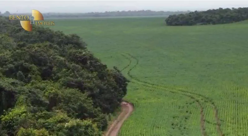 Fazenda à venda de 4.525 ha em Diamantino, MT, Brasil