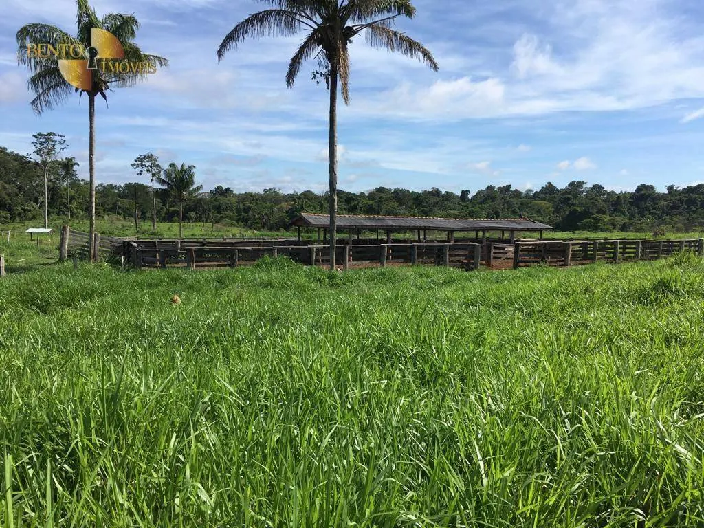 Fazenda à venda de 3.800 ha em Alta Floresta, MT, Brasil