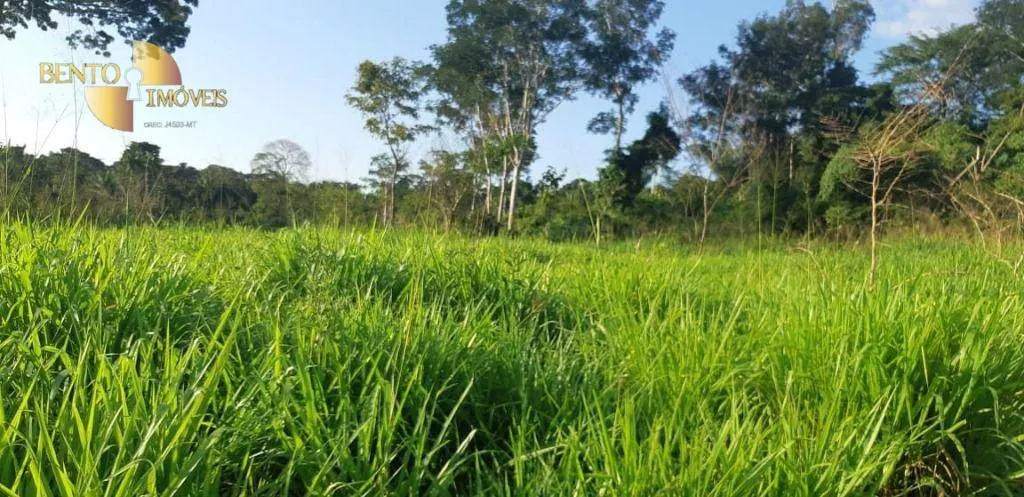 Fazenda à venda de 3.800 ha em Alta Floresta, MT, Brasil