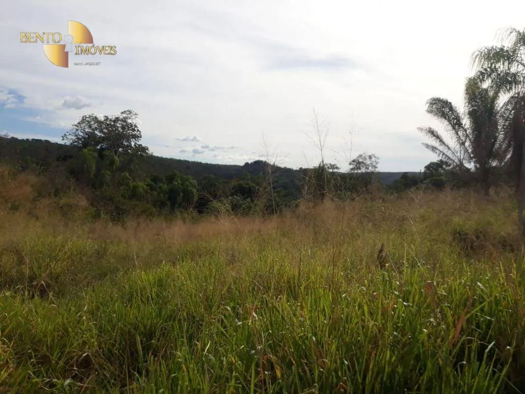 Fazenda à venda de 3.800 ha em Alta Floresta, MT, Brasil