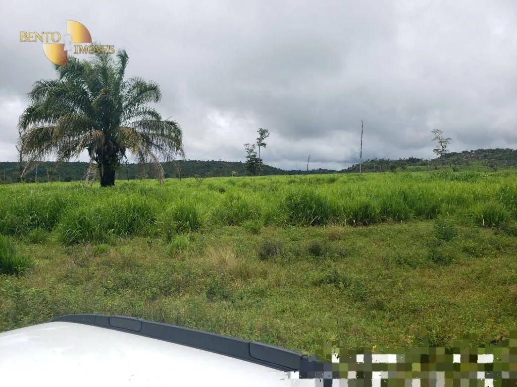 Fazenda à venda de 3.800 ha em Alta Floresta, MT, Brasil