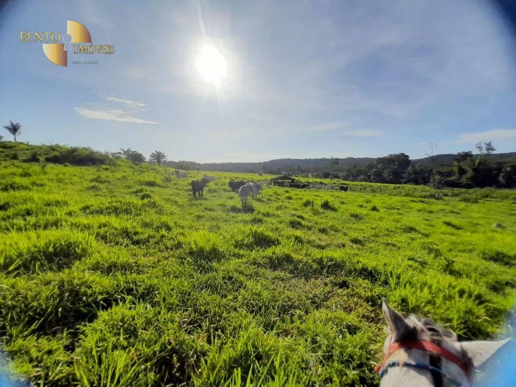 Fazenda à venda de 3.800 ha em Alta Floresta, MT, Brasil
