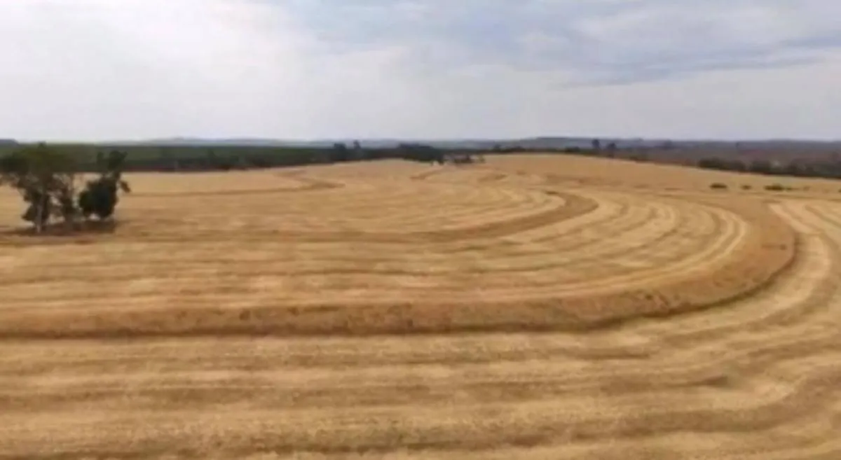Fazenda à venda de 346 ha em Itapetininga, SP, Brasil