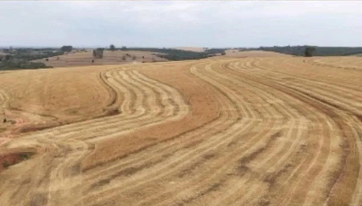 Fazenda à venda de 346 ha em Itapetininga, SP, Brasil
