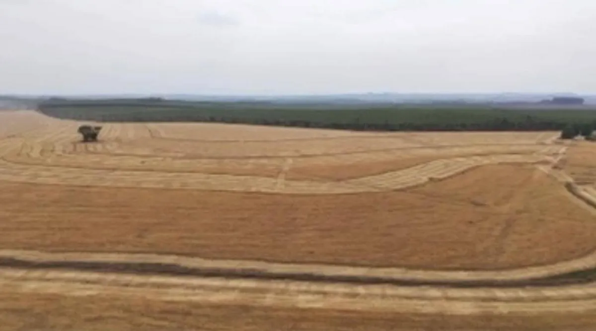 Fazenda à venda de 346 ha em Itapetininga, SP, Brasil