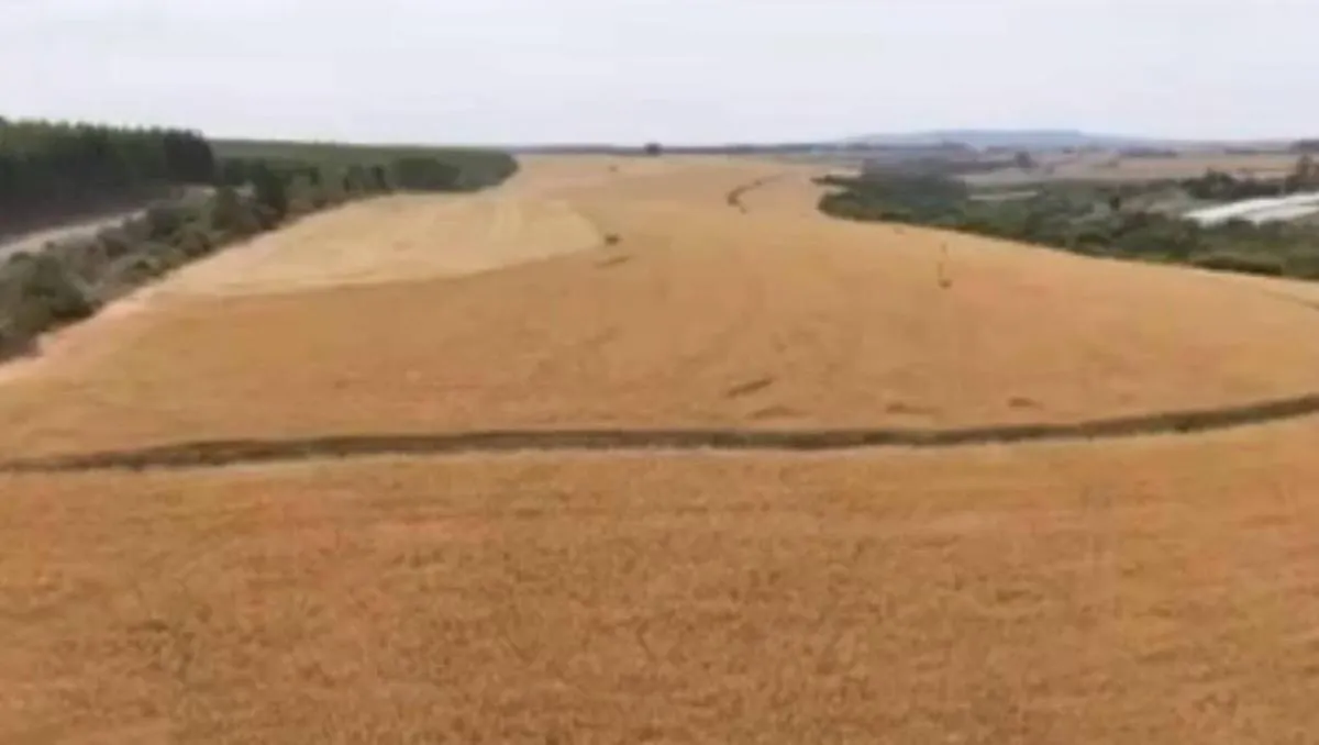 Fazenda à venda de 346 ha em Itapetininga, SP, Brasil