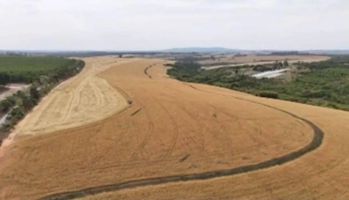 Fazenda à venda de 346 ha em Itapetininga, SP, Brasil