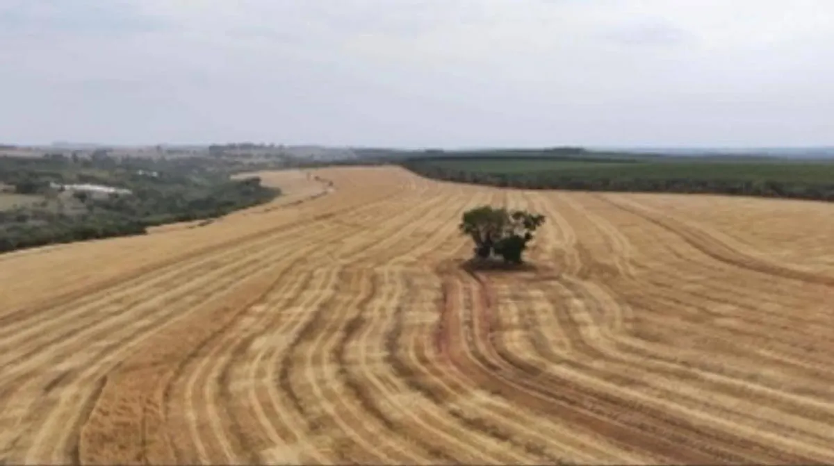 Fazenda à venda de 346 ha em Itapetininga, SP, Brasil