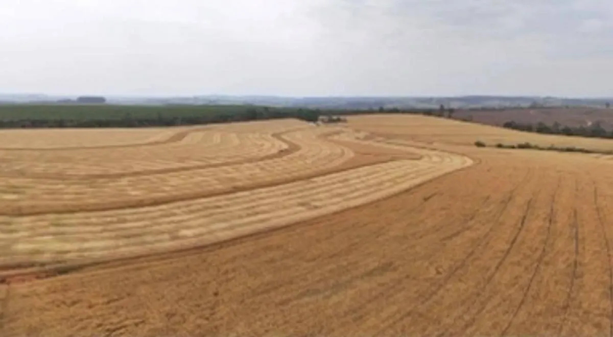 Fazenda à venda de 346 ha em Itapetininga, SP, Brasil