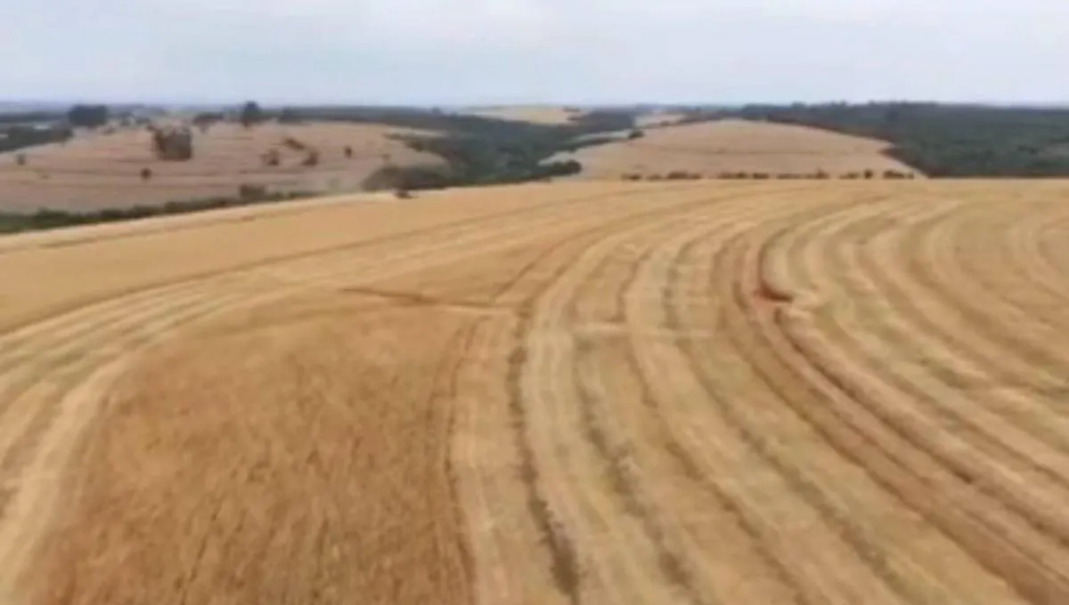 Fazenda à venda de 346 ha em Itapetininga, SP, Brasil